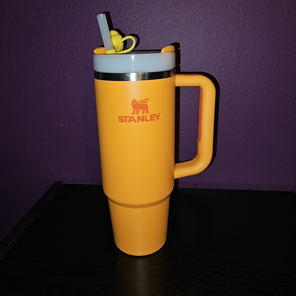 Orange 30oz Stanley Cup w/ Duck